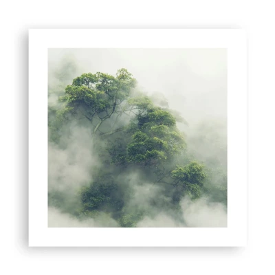 Poster - Wrapped In Fog - 40x40 cm