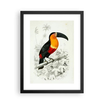 Poster in black frame - Bird Colours - 30x40 cm