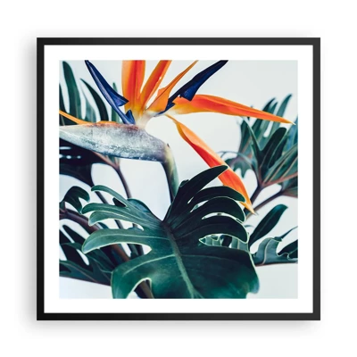 Poster in black frame - Birdy Bush - 60x60 cm