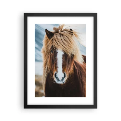 Poster in black frame - Can You Feel the Freedom? - 30x40 cm