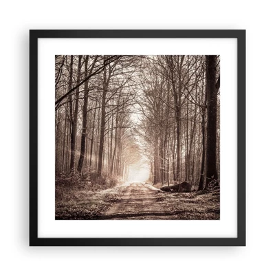 Poster in black frame - Cathedral of the Forest - 40x40 cm