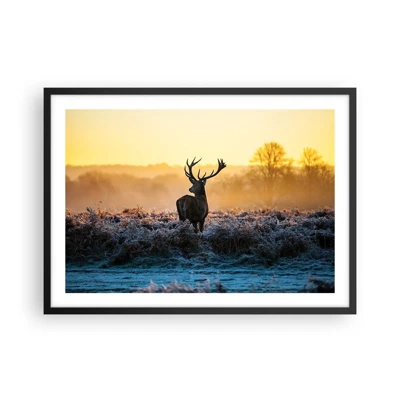 Poster in black frame - Crowned in Its Kingdom - 70x50 cm