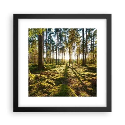 Poster in black frame - Deep in the Forest - 30x30 cm