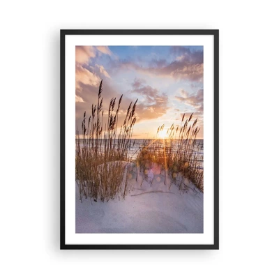 Poster in black frame - Farewell to the Sun and Wind - 50x70 cm