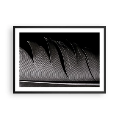 Poster in black frame - Feather - Wonderful Constract - 70x50 cm