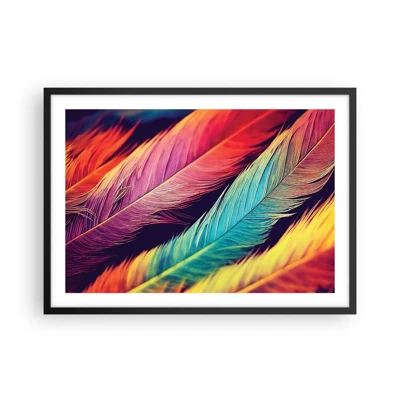 Poster in black frame - Feathered Rainbow - 70x50 cm