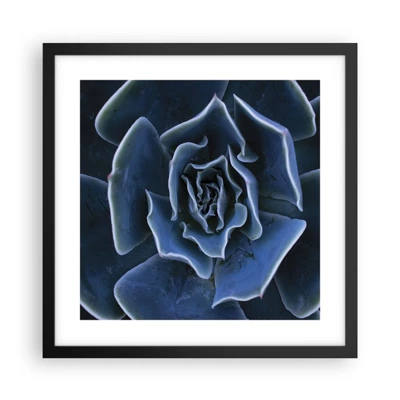 Poster in black frame - Flower of the Desert - 40x40 cm