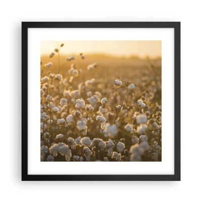 Poster in black frame - Fluffy Field - 40x40 cm