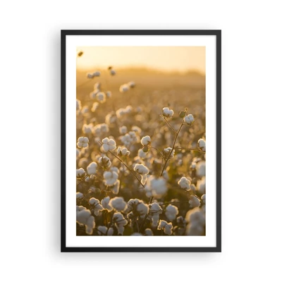 Poster in black frame - Fluffy Field - 50x70 cm