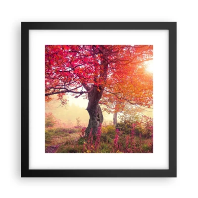 Poster in black frame - In Full Bloom - 30x30 cm