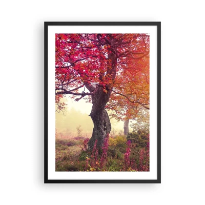 Poster in black frame - In Full Bloom - 50x70 cm