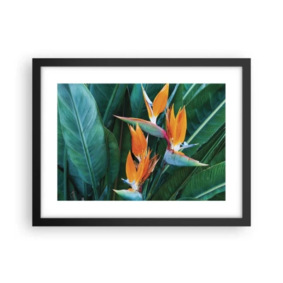 Poster in black frame - Is It a Flower or a Bird? - 40x30 cm
