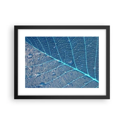 Poster in black frame - Life in the Blue - 40x30 cm