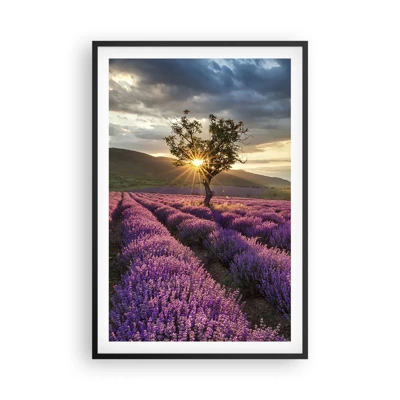 Poster in black frame - Lilac Coloured Aroma - 61x91 cm