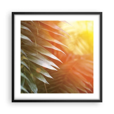 Poster in black frame - Morning in the Jungle - 50x50 cm