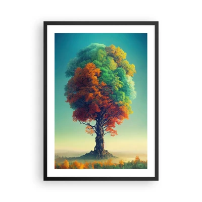 Poster in black frame - Oak - Father of Nature - 50x70 cm