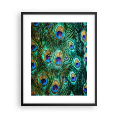 Poster in black frame - Peacock Eyes - 40x50 cm