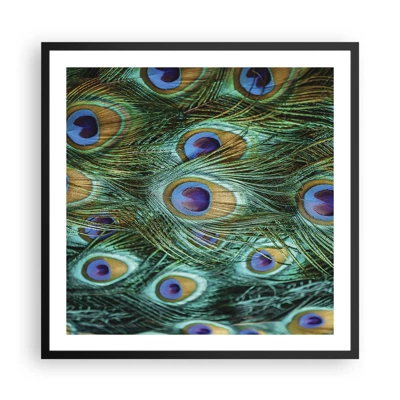Poster in black frame - Peacock Eyes - 60x60 cm