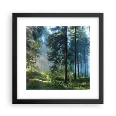 Poster in black frame - Radiant at Dawn - 30x30 cm