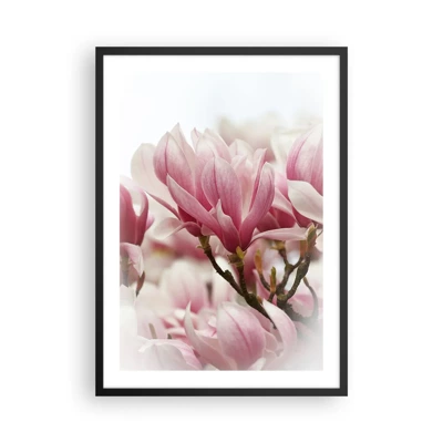 Poster in black frame - Spring Flowers - 50x70 cm