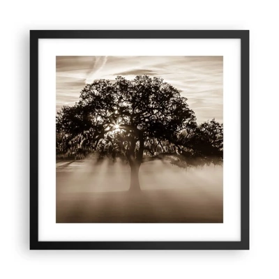 Poster in black frame - Tree of Good Knowledge - 40x40 cm