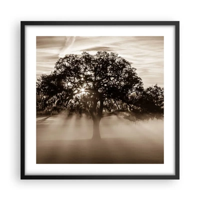 Poster in black frame - Tree of Good Knowledge - 50x50 cm