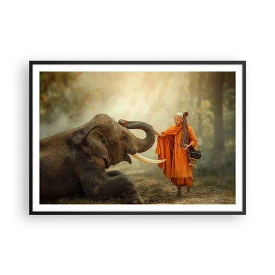 Poster in black frame - Unexpected Meeting - 100x70 cm