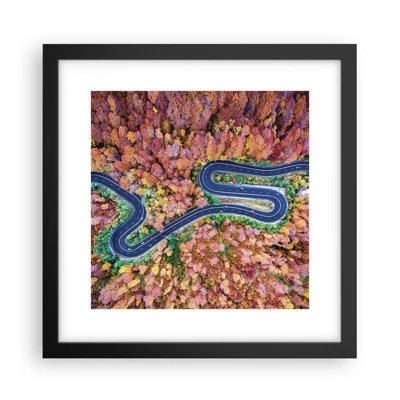 Poster in black frame - Winding Path through a Forest - 30x30 cm