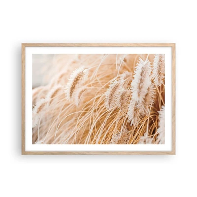 Poster in light oak frame - Golden Rustling of Grass - 70x50 cm