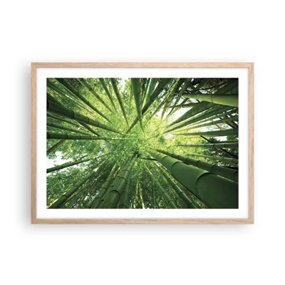 Poster in light oak frame - In a Bamboo Forest - 70x50 cm