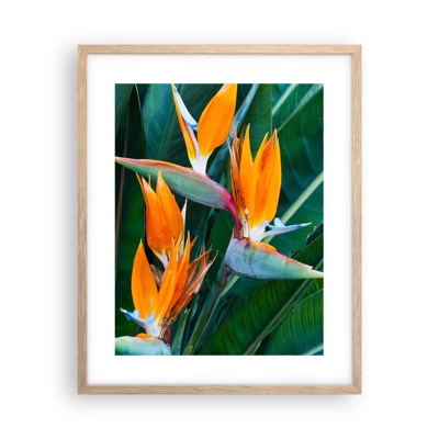 Poster in light oak frame - Is It a Flower or a Bird? - 40x50 cm