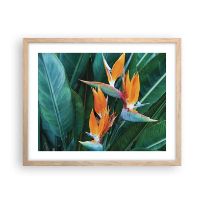 Poster in light oak frame - Is It a Flower or a Bird? - 50x40 cm