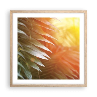Poster in light oak frame - Morning in the Jungle - 50x50 cm