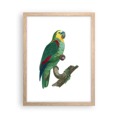 Poster in light oak frame - Parrot Portrait - 30x40 cm