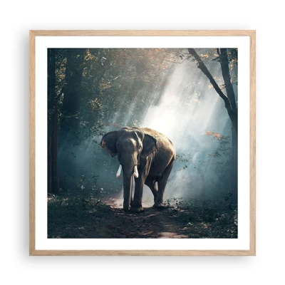 Poster in light oak frame - Quiet Stroll - 60x60 cm