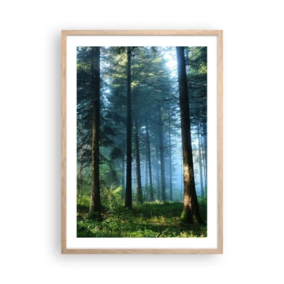 Poster in light oak frame - Radiant at Dawn - 50x70 cm