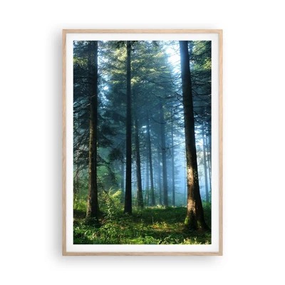 Poster in light oak frame - Radiant at Dawn - 70x100 cm