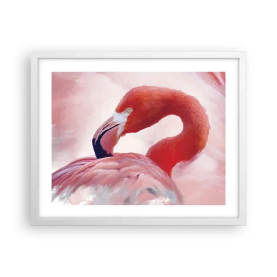 Poster in white frmae - Bird Look - 50x40 cm