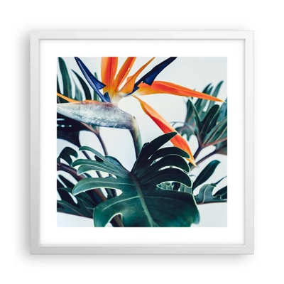 Poster in white frmae - Birdy Bush - 40x40 cm