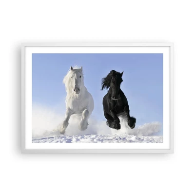 Poster in white frmae - Black and White Gallop - 70x50 cm