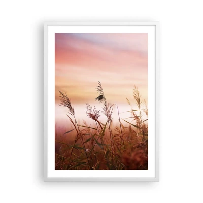 Poster in white frmae - Blowing in the Wind - 50x70 cm