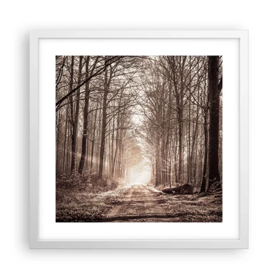 Poster in white frmae - Cathedral of the Forest - 40x40 cm