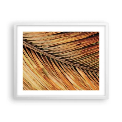 Poster in white frmae - Coconut Gold - 50x40 cm