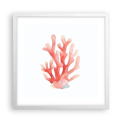 Poster in white frmae - Coral Colour Colars - 40x40 cm