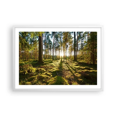 Poster in white frmae - Deep in the Forest - 70x50 cm