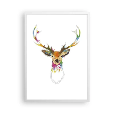 Poster in white frmae - Deer Bathed in Colour - 50x70 cm