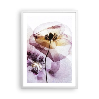 Poster in white frmae - Flower Body Slide - 50x70 cm