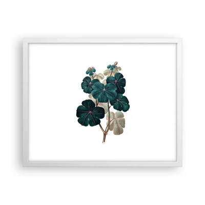 Poster in white frmae - From the Old Herbarium - 50x40 cm