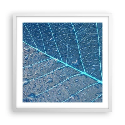 Poster in white frmae - Life in the Blue - 50x50 cm