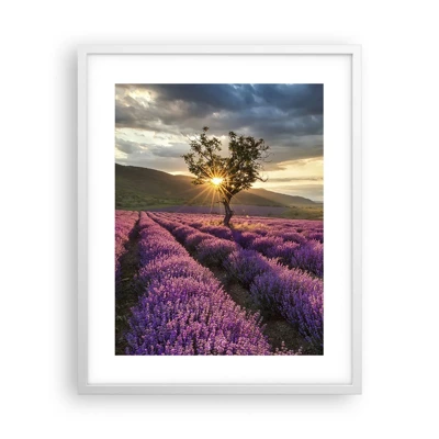 Poster in white frmae - Lilac Coloured Aroma - 40x50 cm